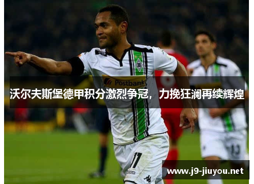 沃尔夫斯堡德甲积分激烈争冠，力挽狂澜再续辉煌